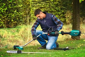 3 extensions pour ce taille-haie télescopique