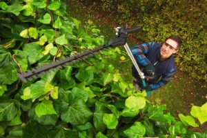 Taille-haie sur perche Bosch