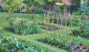 Aménagement potager