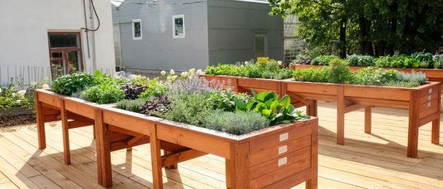 Cultiver des légumes dans une table potager