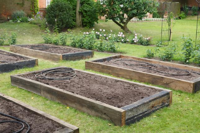 Disposition des bacs potagers