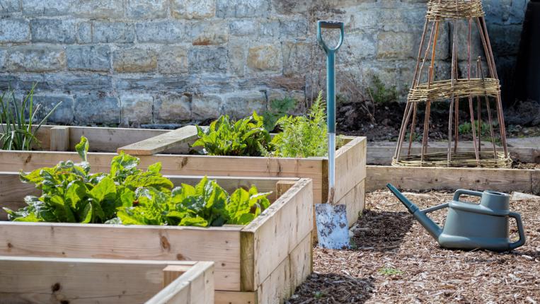 Disposition des bacs pour un petit potager