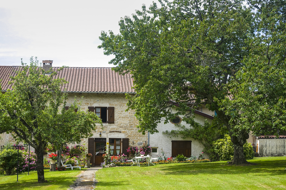 Arbres pour jardin traditionnel français