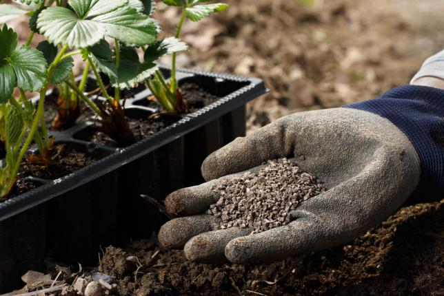 Mélanger des granules humiques organiques avec la terre pour l'enrichir