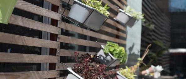 Petits bacs pour un micro-potager suspendu