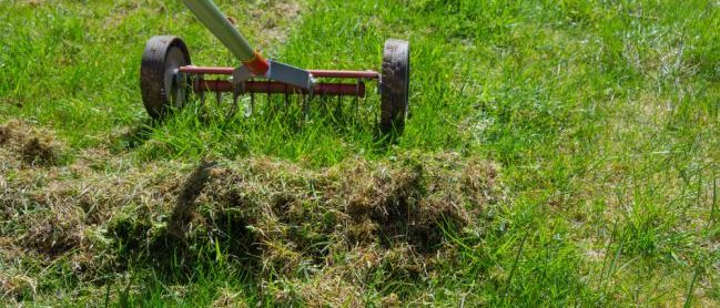 Aérer la pelouse avec un scarificateur pour enlever les mauvaises herbes