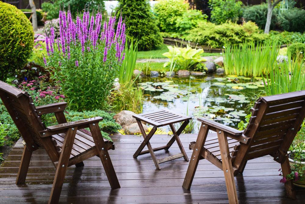Création aquatique : mare de jardin + terrasse en bois + plantes aquatiques + plantes ornementales