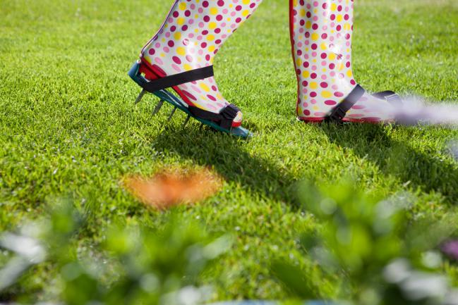 Chaussures d’aération pour revitaliser le gazon