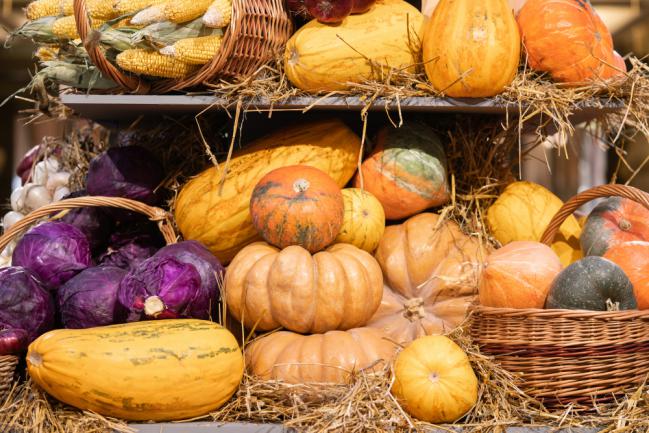 Conservation des citrouilles et courges récoltées en automne