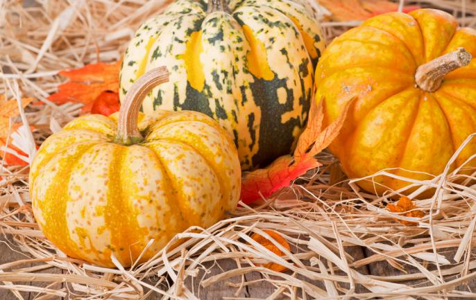 Conservation des courges dans la paille