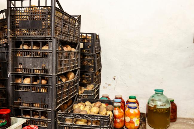 Conservation des pommes de terre récoltées a la maison