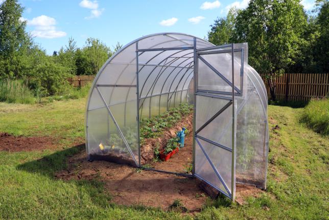 Cultiver des légumes sous serre