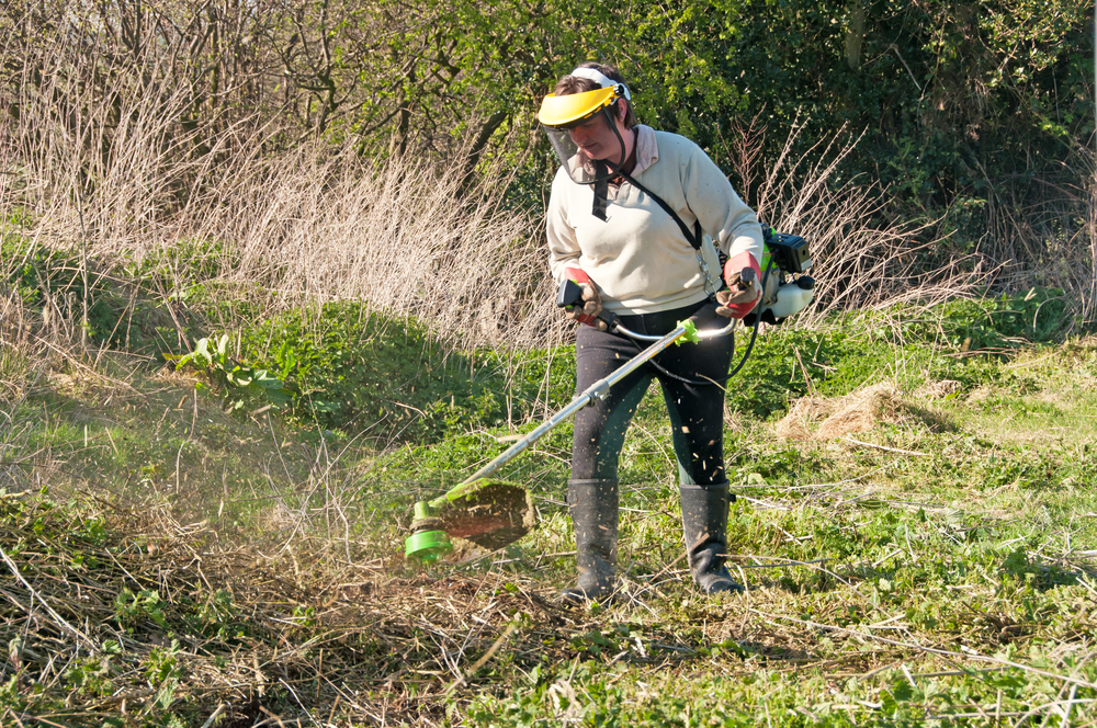 Debroussailler un terrain en friche