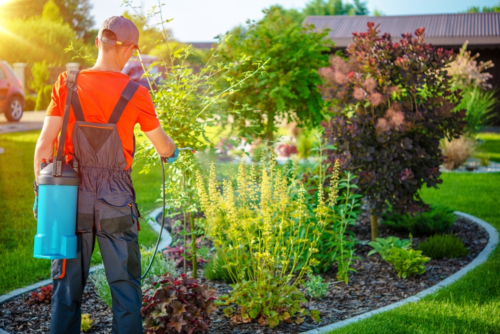 Entretien du jardin par un jardinier