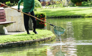 Entretien milieu aquatique