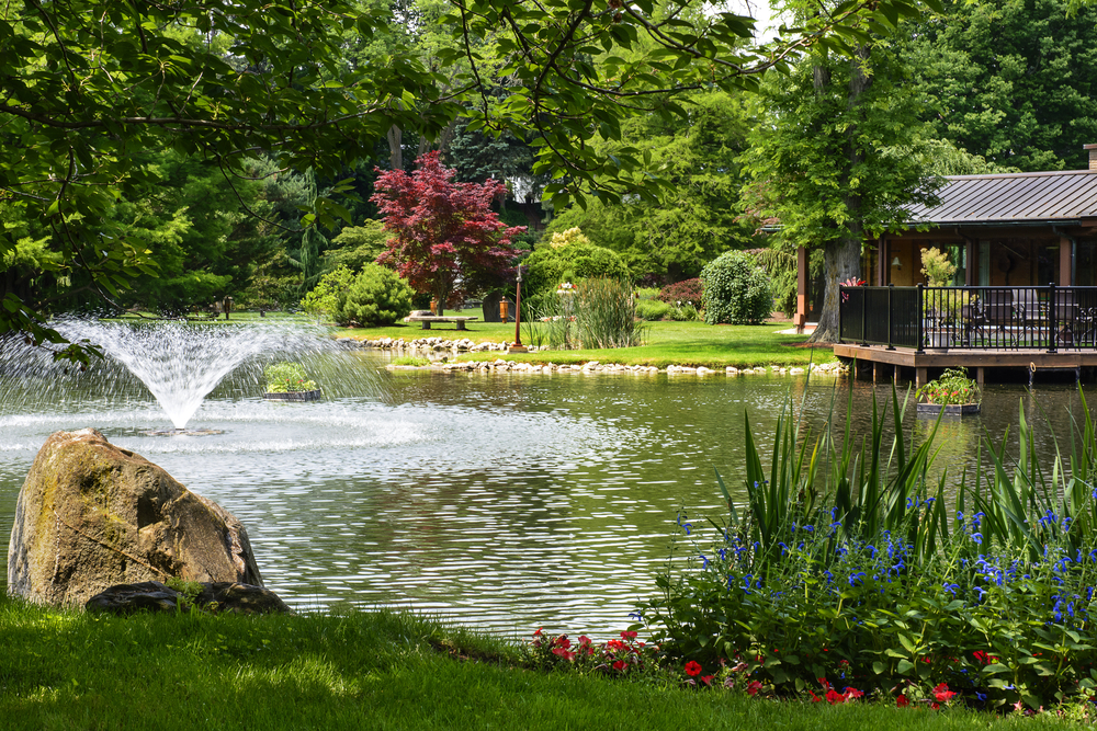 Étang de jardin avec jet d'eau