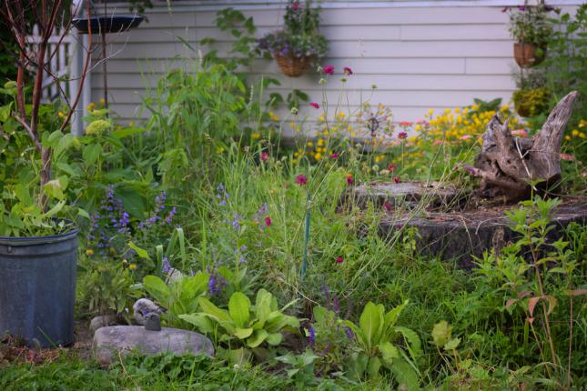 Exemple d’aménagement de jardin potager vivace