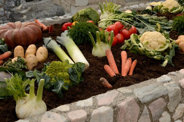 Exemple de disposition de légumes pour le concept d'assolement ou rotation de culture