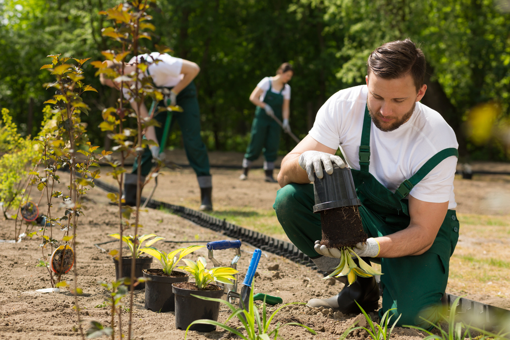 Groupe de jardiniers