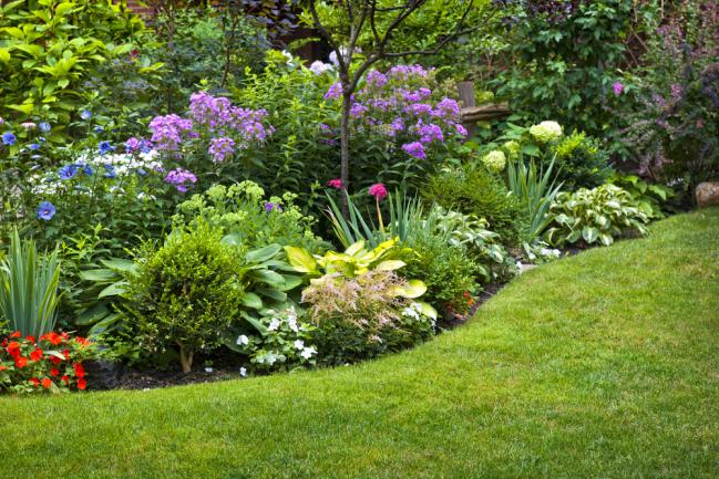 Jardin aménagé au sol