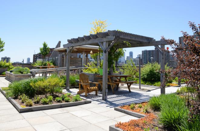 Jardin aménagé sur le toit