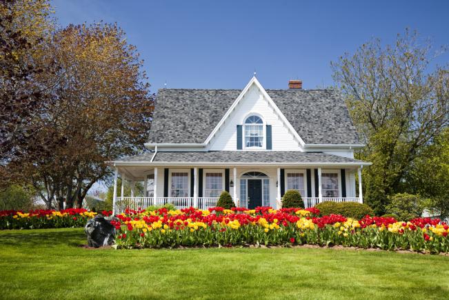 Jardin de tulipes bien entretenu devant une grande maison