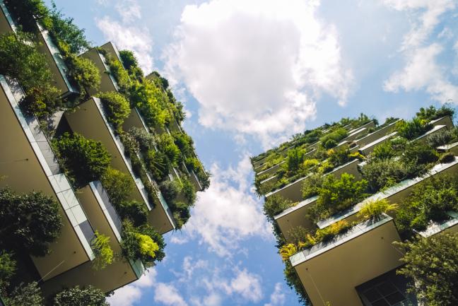 Jardin suspendu immeuble