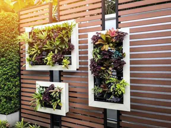 Jardin vertical d'une maison moderne