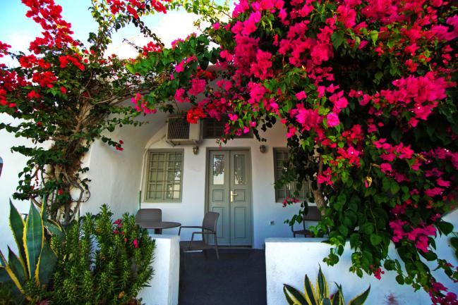 Joli bougainvillier grimpant à l’entrée d'une maison