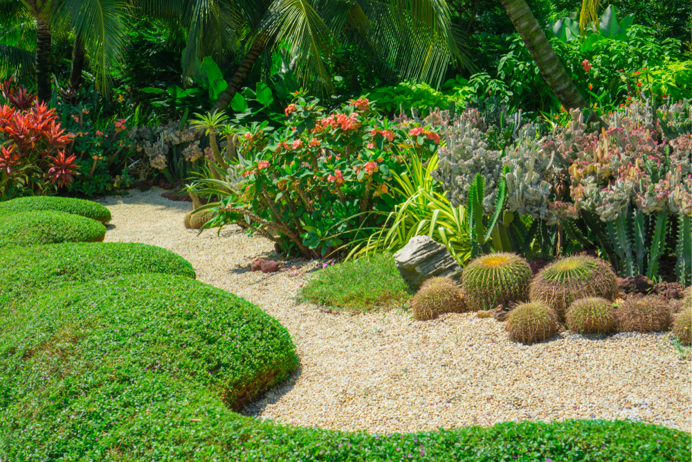 Exemple de massifs bien aménagés et entretenus dans un jardin tropical