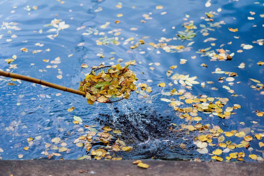 Nettoyage de l'eau à l'aide d'une épuisette