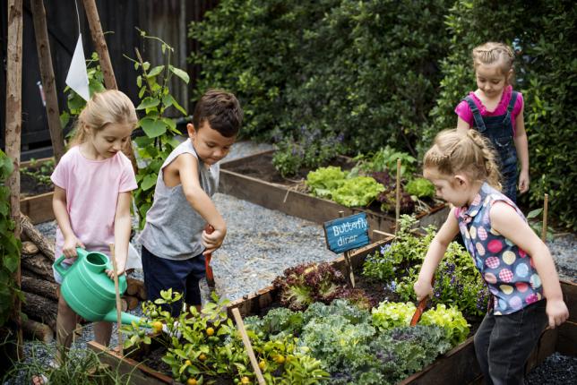 Petit potager bien aménagé, facilement accessible aux enfants