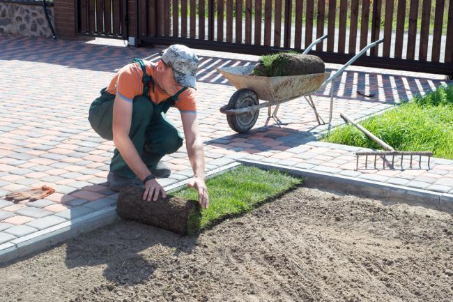 Pose de gazon en plaques pour une nouvelle pelouse