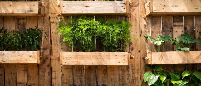 Pratiquer le jardinage vertical dans son potager