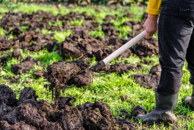 Préparation du jardin potager pour la plantation