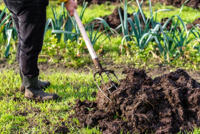 Préparer la terre pour la culture d'automne