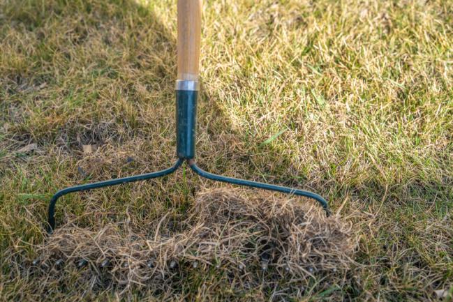 Ramassage des herbes mortes après l'hiver au râteau