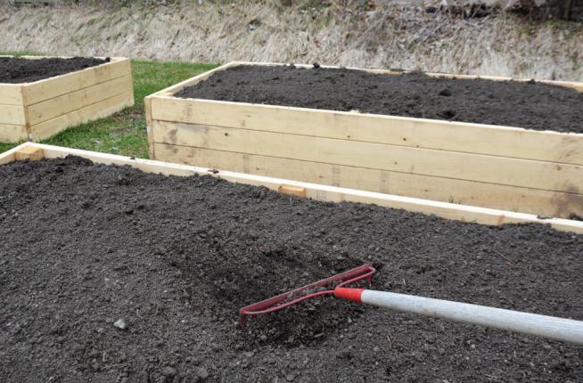 Ratissage du sol d'un carré potager