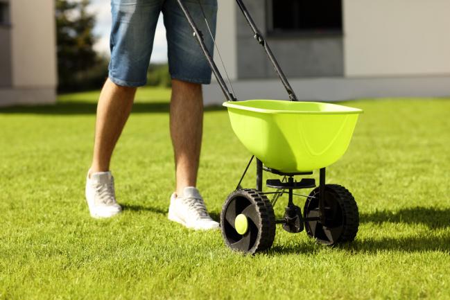 Semer de nouvelles graines d'herbe pour rembourrer la pelouse