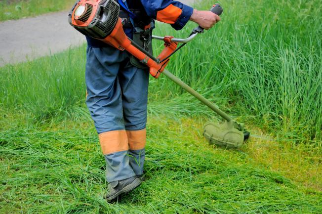 Taille pelouse dense et haute à la débroussailleuse