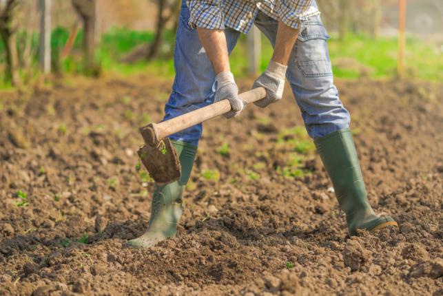 Travailler la terre pour une nouvelle saison de croissance