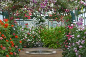 jardin suspendu et jardin au sol mixte