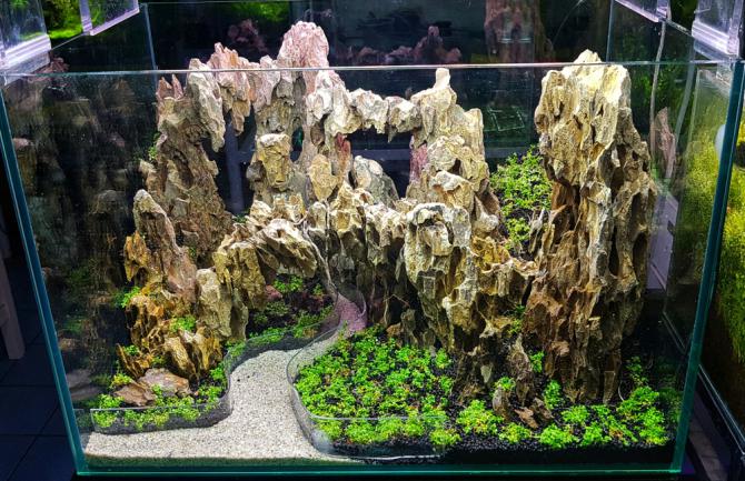 Aquascaping hardscape