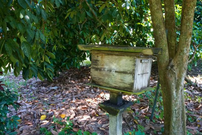 Ruche de verger près d'un arbre fruitier dans le jardin