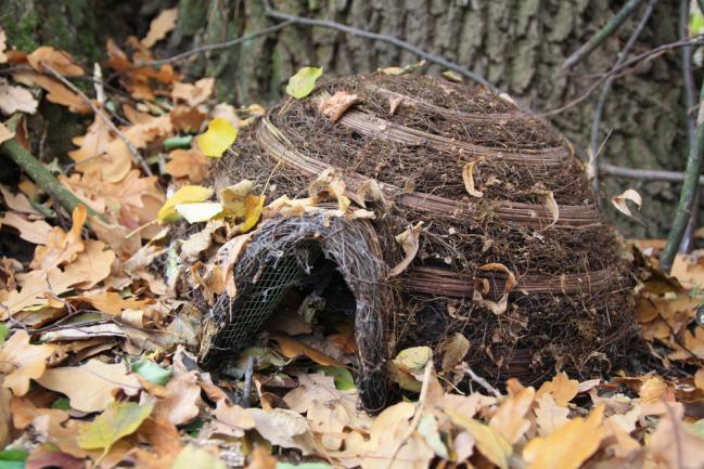 Abri confortable pour hérisson en pailles et une pile de feuilles mortes où il peut hiberner et se reproduire