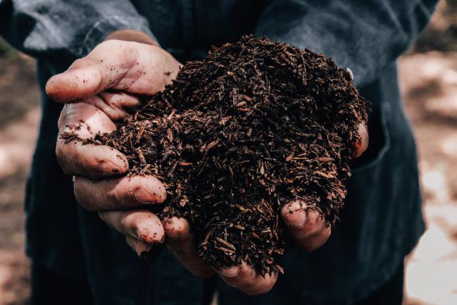 Agriculteur tenant dans la main un tas de terre arable pouvant être utilisé pour la fertilisation des plantes