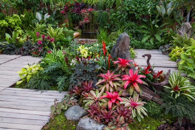 Aménagement d'un jardin serre