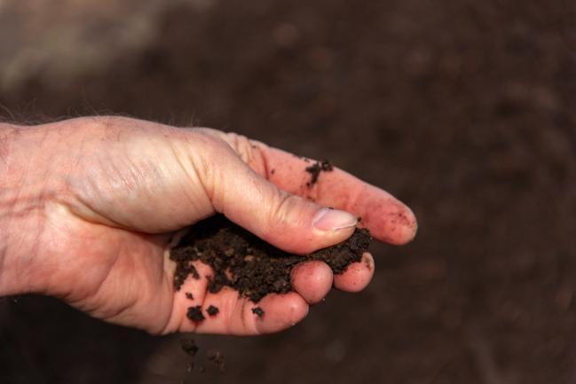 Analyse de la texture du sol de jardin