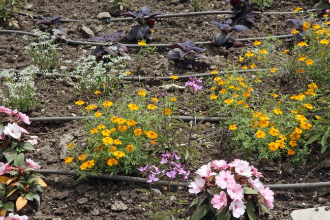 30 m de tuyau poreux d'irrigation et d'arrosage au goutte à goutte - Le  Poisson Qui Jardine