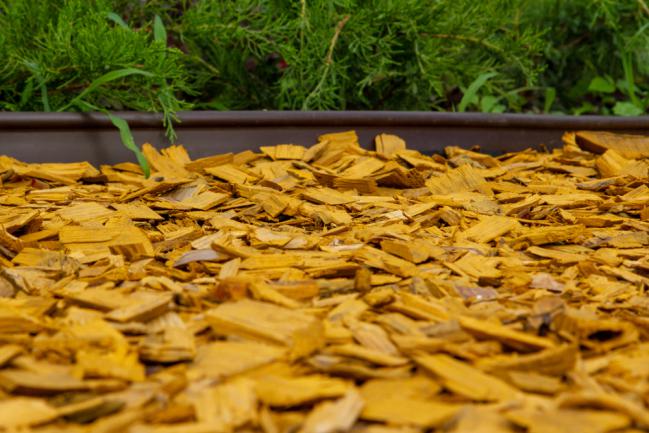 Bois jaune utilisé comme BRF pour le jardin